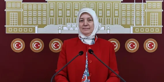 AK Partili Gözgeç’ten 28 Şubat mesajı